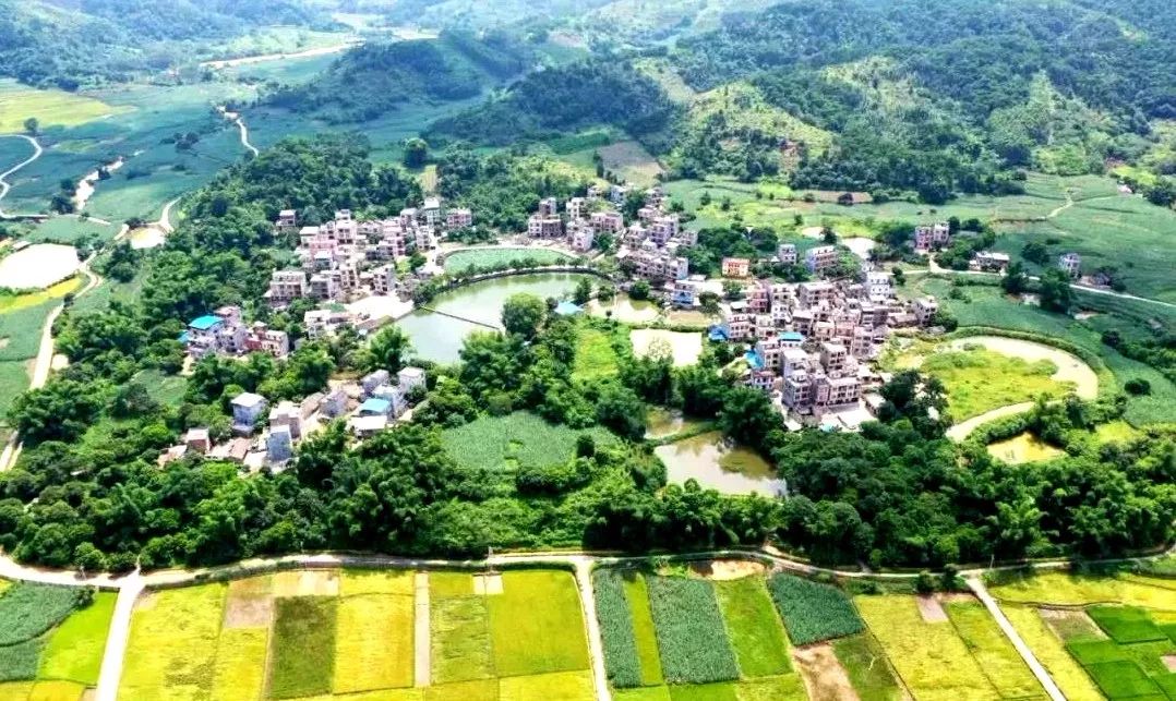 那就是   凭祥市东盟特色水果小镇(夏石镇)