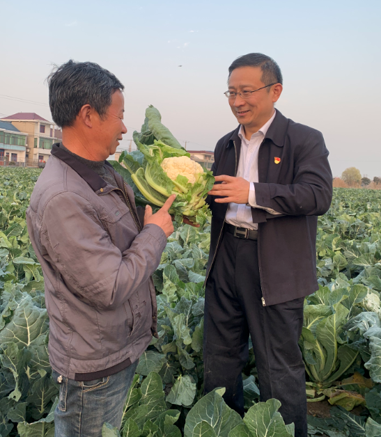 布鞋书记杨卫华只想实实在在为村民做点实在事