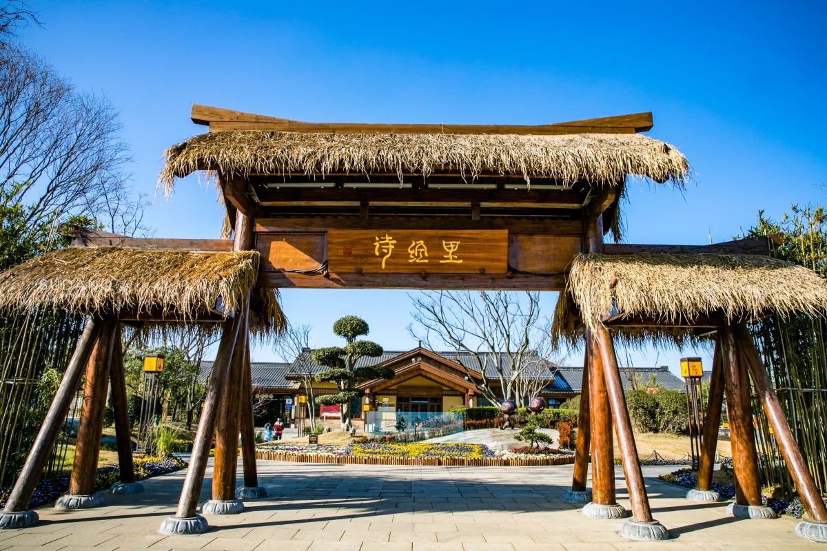 西安为何那么有底气?留学生被中国文化吸引:诗经里小镇真风雅