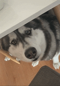 200_286gif 动态图 动图