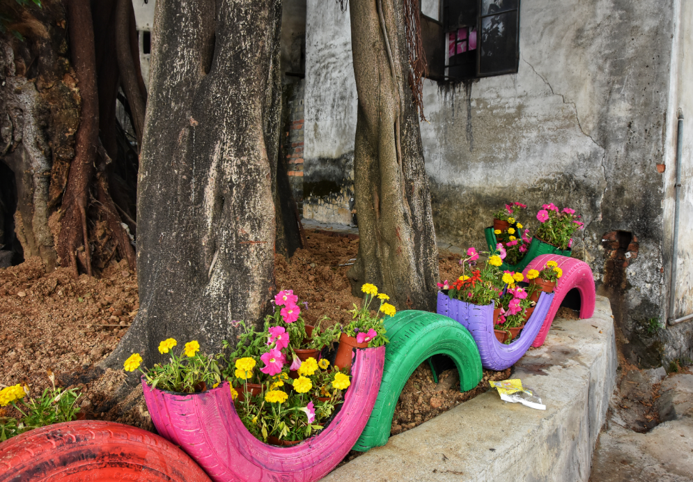 彩绘轮胎,紫藤花架,横沥村民自发参与打造"边角花园"