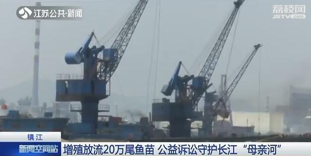 非法采砂20萬噸?檢察院:出錢給我原地放流20萬條魚!