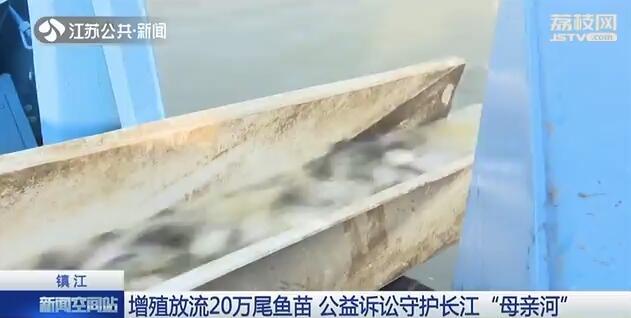 非法采砂20萬噸?檢察院:出錢給我原地放流20萬條魚!