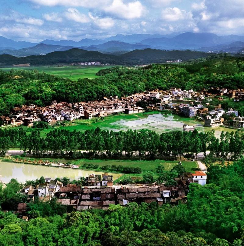 喜讯!2019年广东省森林小镇认定名单公示,增城小楼镇入选!