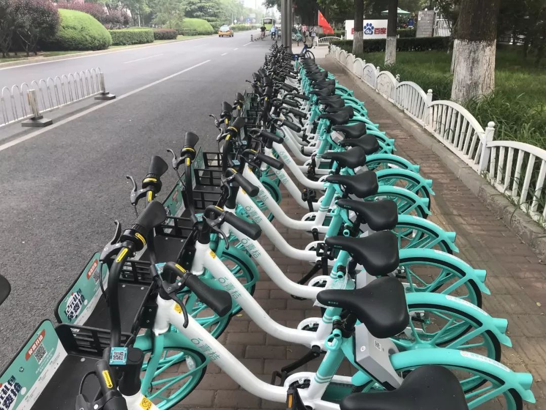 青桔共享单车涨价 “免费骑”“1元骑”时代一去