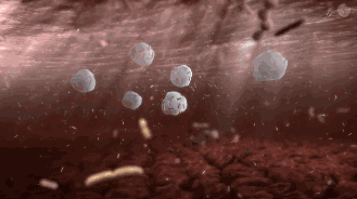 让家中永无蟑螂家里挤一点它蟑螂几乎被灭族长效克制