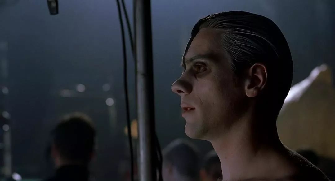 王子面庞天鹅身段他们让全世界的女人都想入非非