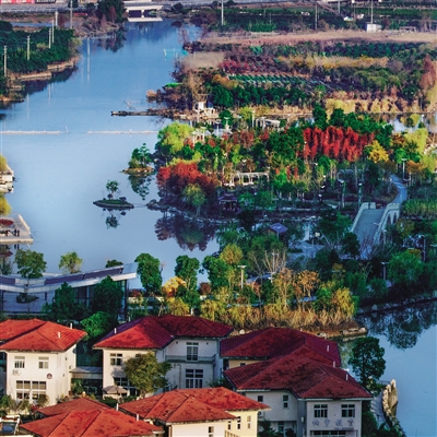 平阳县昆阳镇:凤湖十里满城美