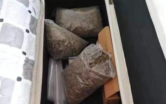 瘾君子网上买到假大麻 模仿行骗获利两万被刑拘