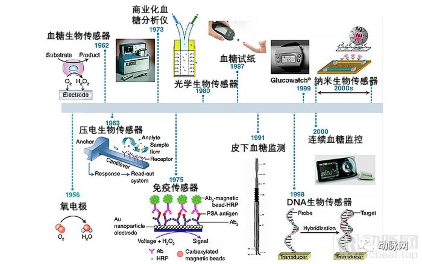 最早的生物传感器可以追溯到上世纪五六十年代.