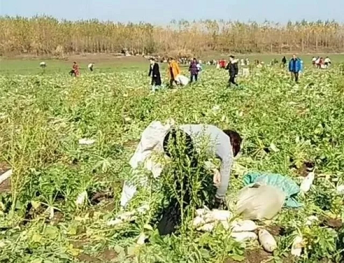 ▲图片来自微博