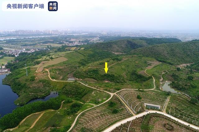 秦岭地区首次发掘出土早期现代人化石(图)