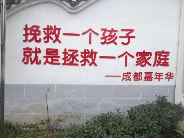 位于成都市郫都区新民场镇的成都“嘉年华”，目前已被关闭。图片来源于网络