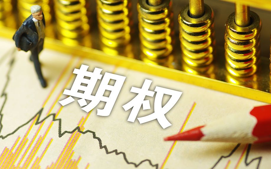 公司给员工的股票期权是什么意思(股票期权是什么意思)