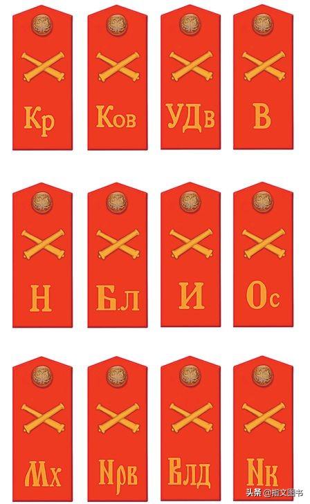 上排肩章,从左至右分别为:喀琅施塔得,科夫罗,北德文斯克,华沙.