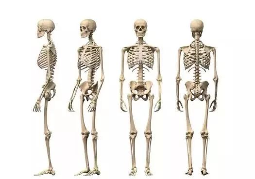 一文读懂图卷积在基于骨架的动作识别中的应用