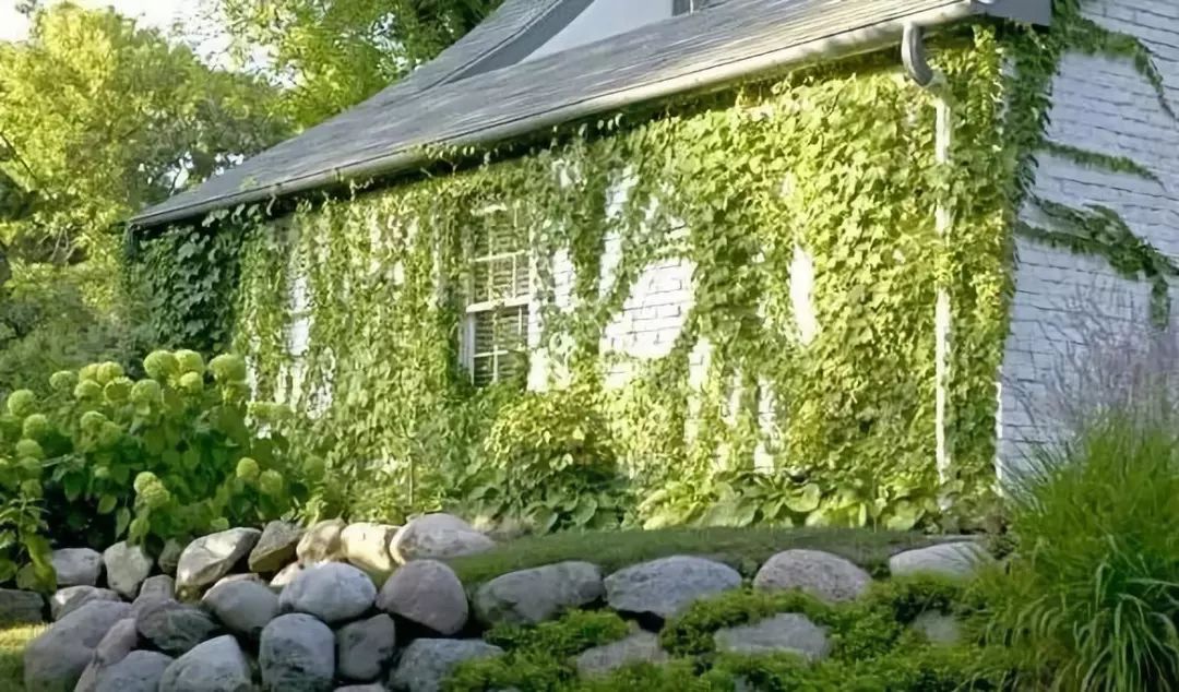 庭院挡土墙,如何实现添景不添堵?这样做就对了!