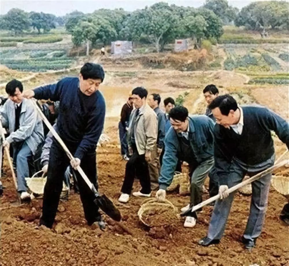  1995年习近平在闽江下游劳作。（新华社发）