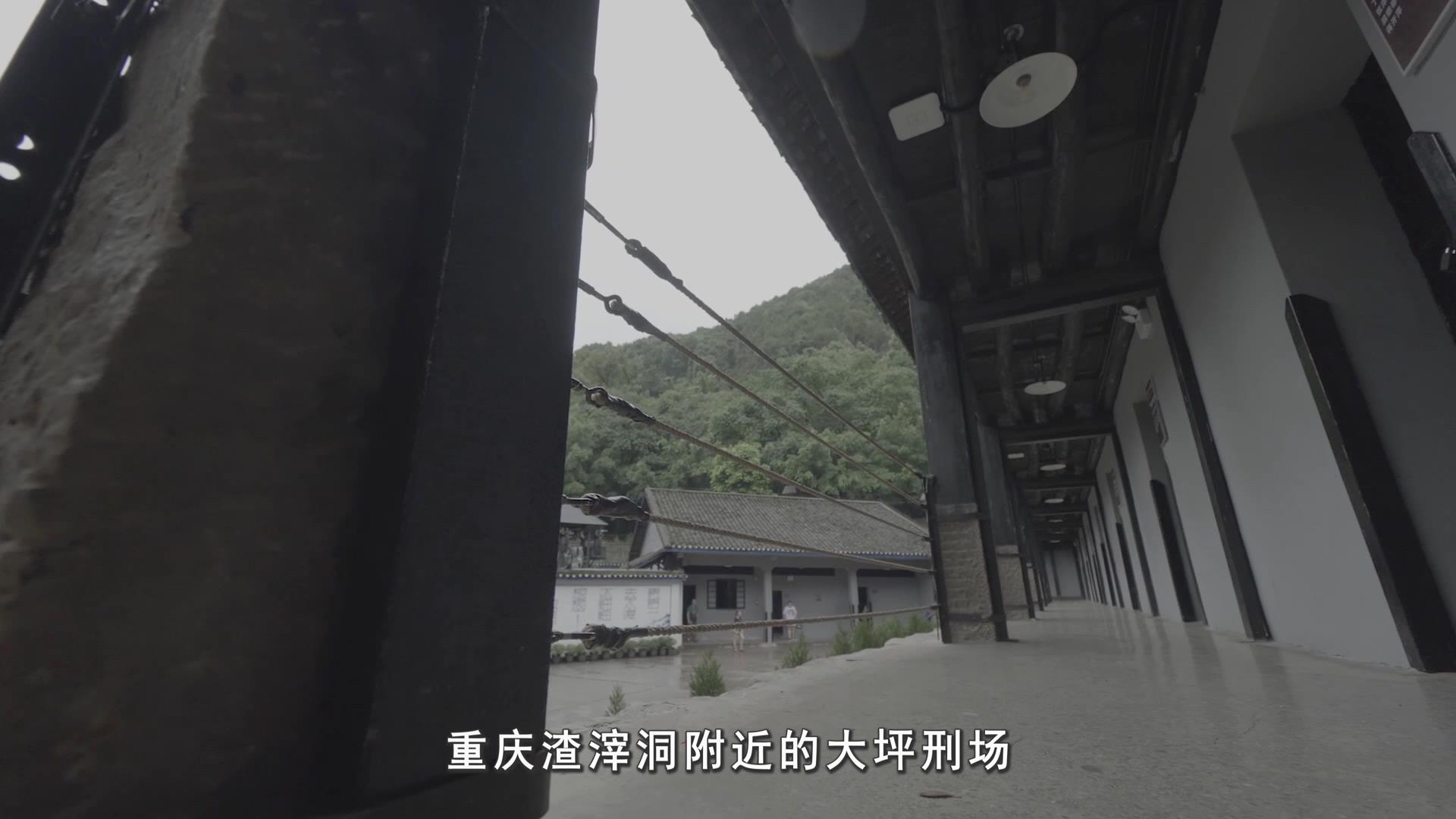 陈然的"明志书"|挺进报_新浪新闻