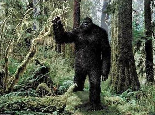 大脚怪真的存在?俄勒冈州发现有大型生物出没,专家称已找到线索