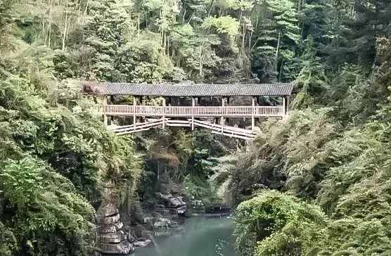 一口气读懂中国的桥