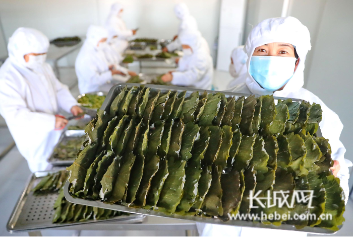 2020年秦皇岛市海港_2020年科技成果直通车秦皇岛站海港区专场活动成功