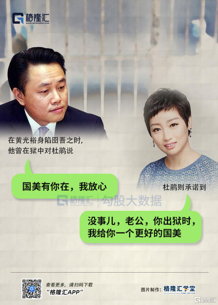 2008年是一个转折,国美"后值倾覆",而黄光裕之妻杜鹃女士"奉命于危难