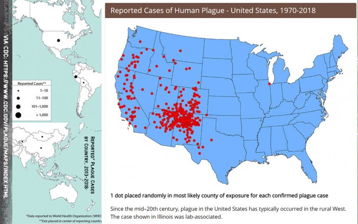 科罗拉多州发现一只患有黑死病的松鼠系所在县首例