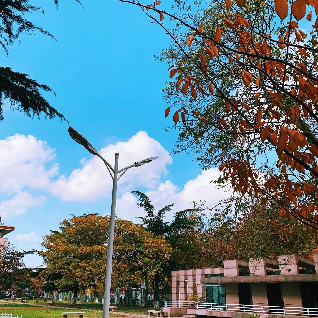 超全面青岛理工大学市北校区萌新必备入学指南开学见