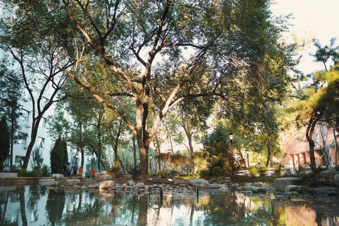 林沼荫实现了校园景观中唯一的大水系丰富了校园景观类型也为在校师生