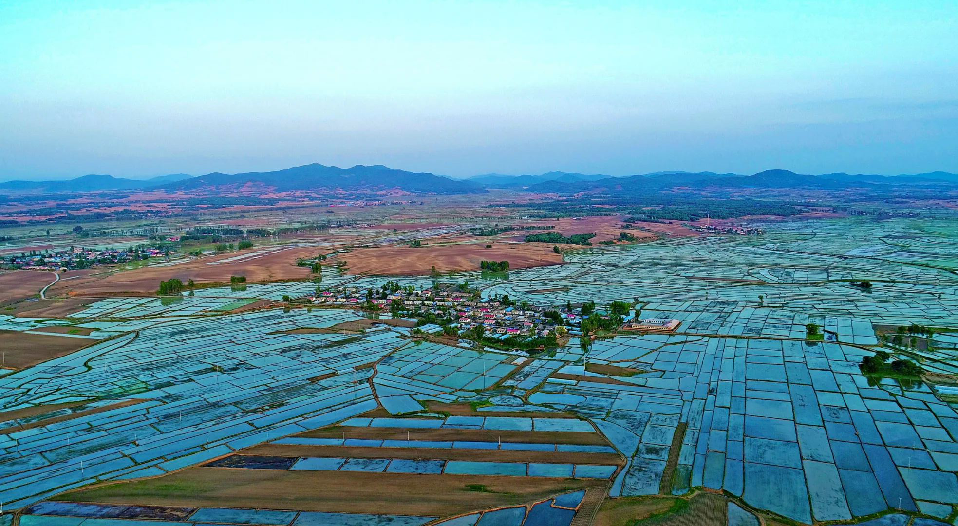 黑龙江五常水稻田.摄影/赵天华