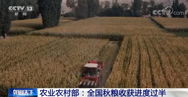 目前全国秋粮已收50.4%，进度与去年基本持平 