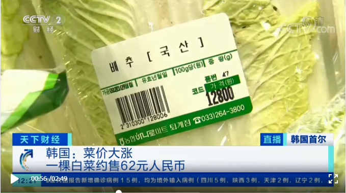 韩国泡菜都腌不起了？一棵大白菜卖出62元“天价” 240家工厂停工
