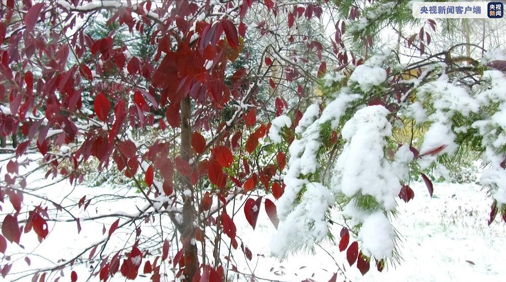 央视|黑龙江最冷小镇呼中迎来今年第一场大雪
