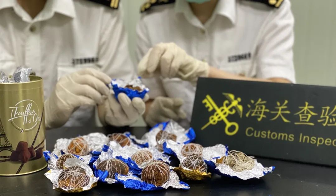 泉州海关：在申报品名为“巧克力”包裹内查获牛黄