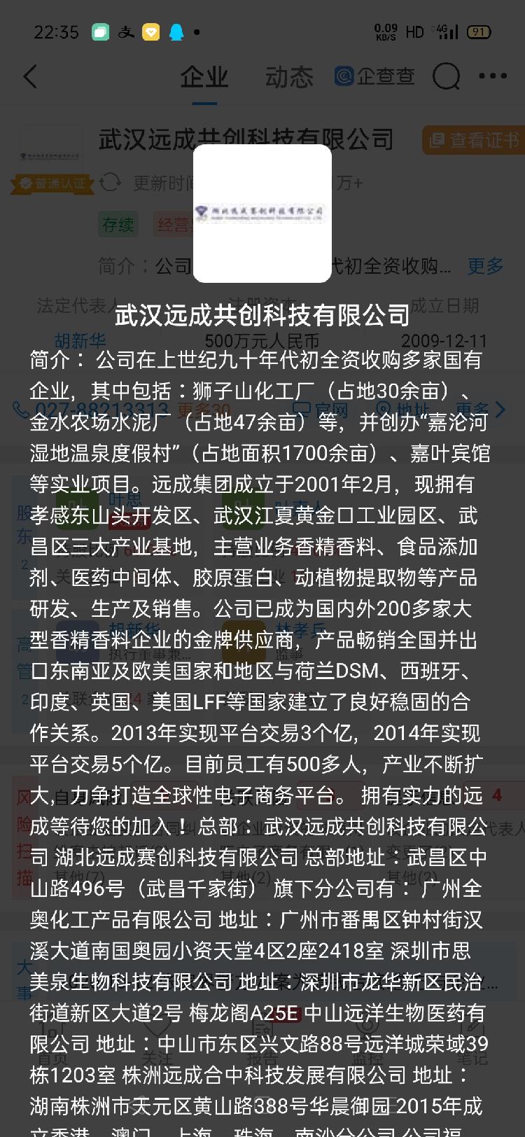 武汉远成公司介绍