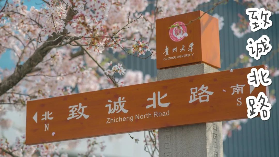 emoji猜贵大最后一个太有意思了