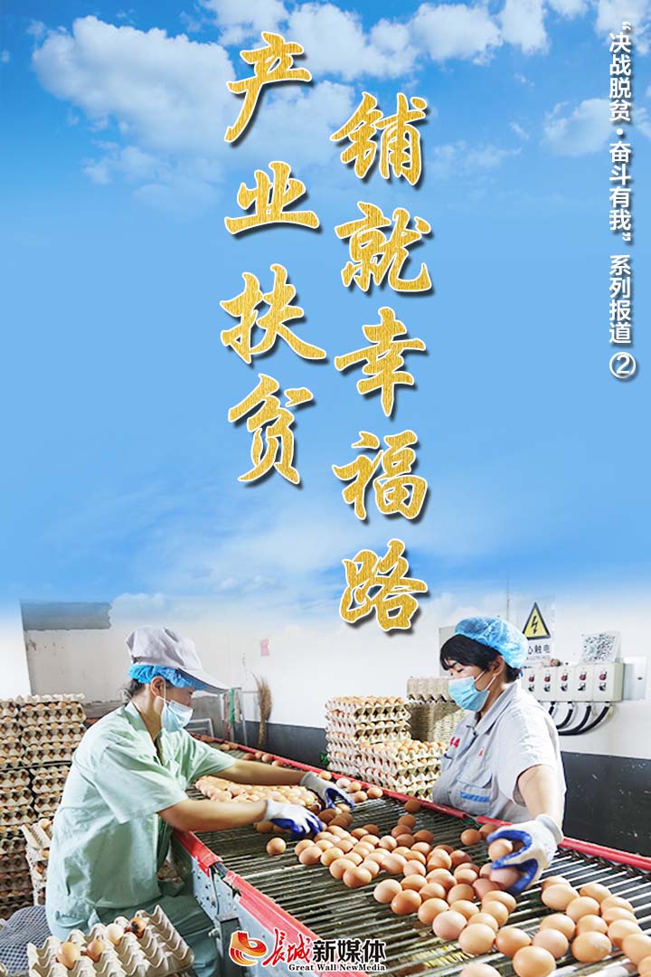 决战脱贫奋斗有我 威县郭成巧 金鸡 来扶贫 产下致富 蛋 手机新浪网 决战脱贫奋斗有我 威县郭成巧 金鸡 来扶贫 产下致富 蛋 手机新浪网