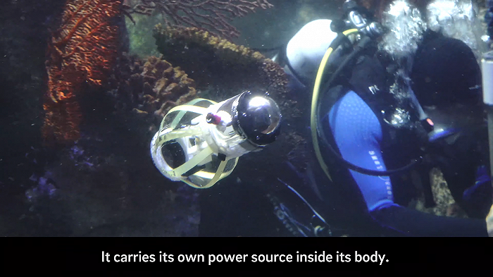 柔软的"鱿鱼"机器人,与工作人员一同在水下工作.