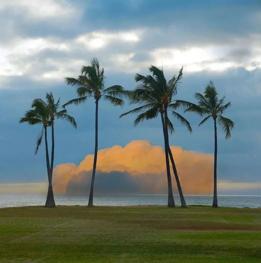 南航转债：布局京广双枢纽的龙头航司 建议积极申购