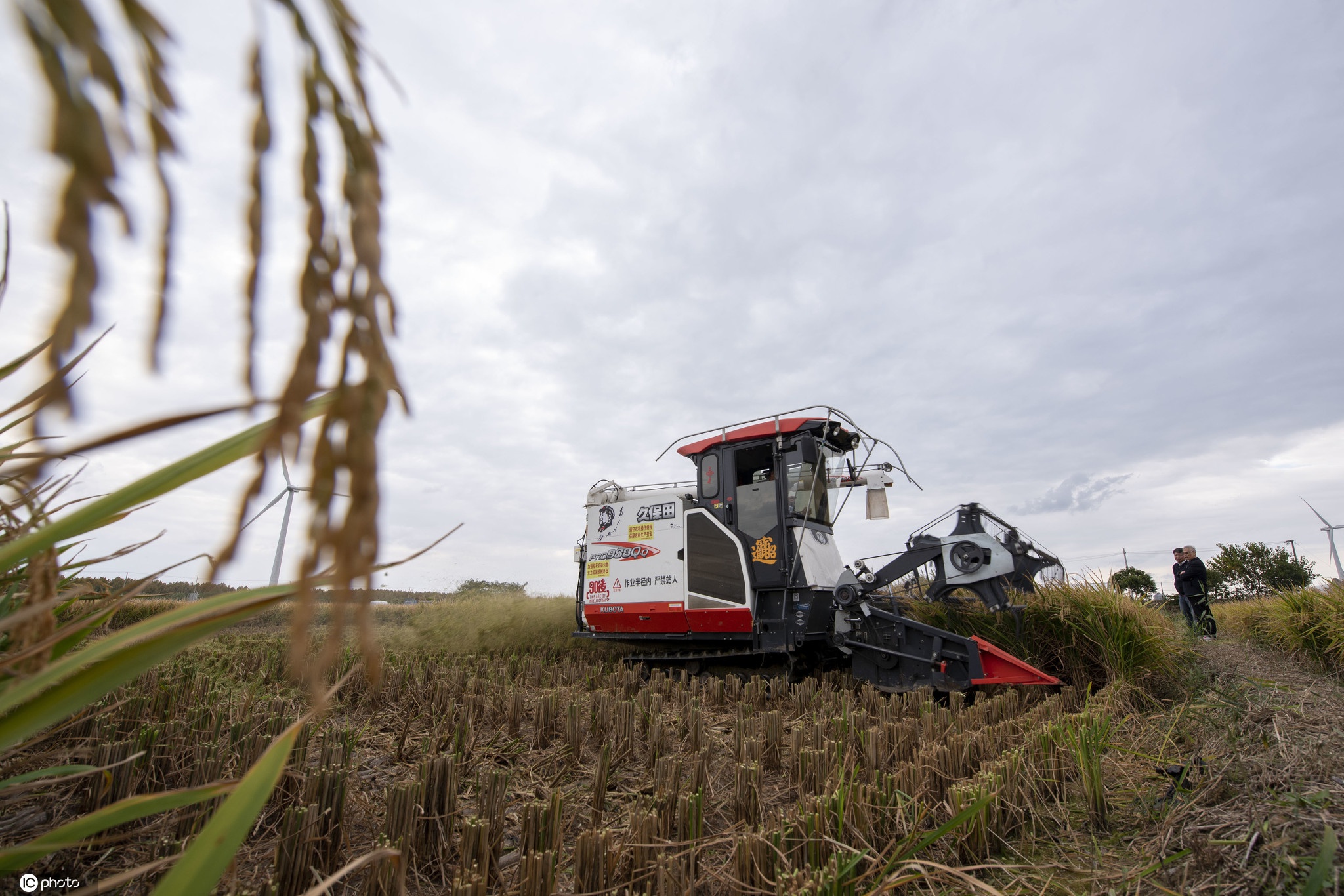 江苏如东袁隆平超优千号耐盐水稻创高产新纪录