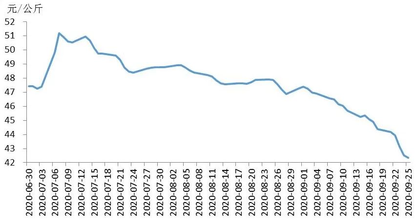 大厂规划养猪20亿头：扩产改变趋势 规模化养殖有望颠覆猪周期