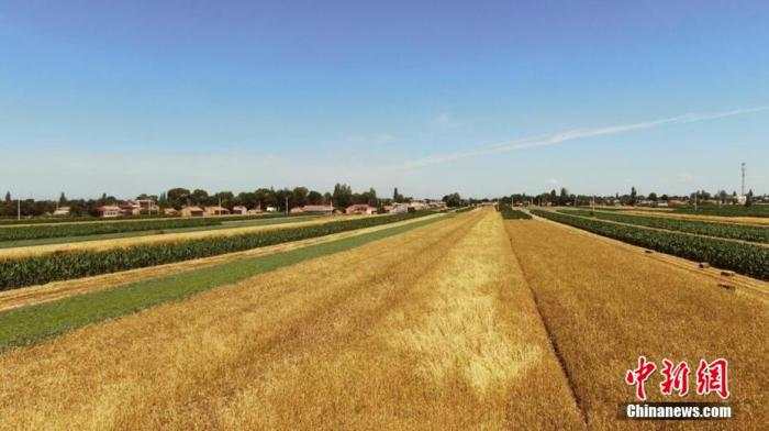 全球还有6.9亿人在挨饿 我们该如何端牢饭碗？