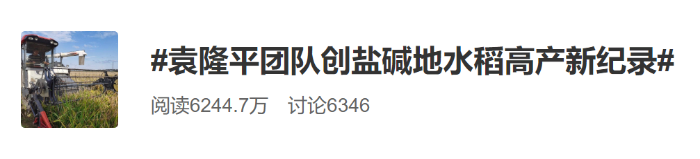 袁隆平团队又干了件大事：盐碱地水稻平均亩产量802.9公斤创纪录