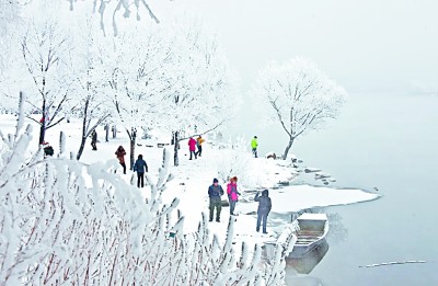 冬日里松花江畔的雾凇美景 董育新摄
