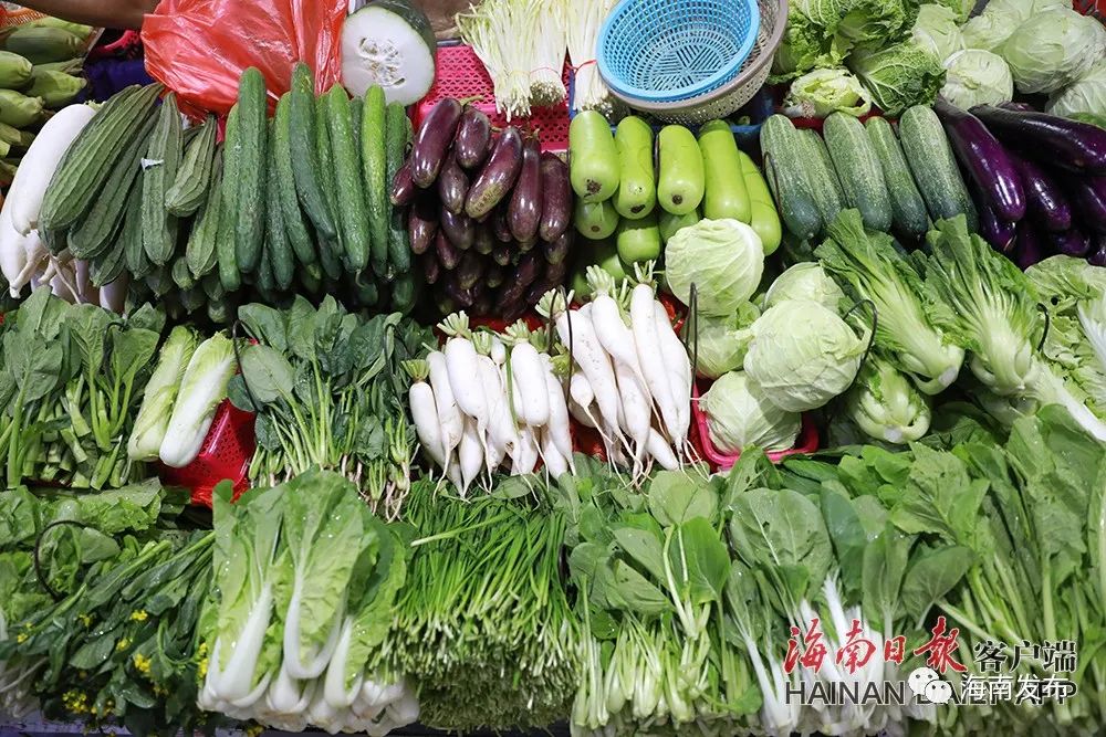 海口各大农贸市场蔬菜充足,价格稳定～|海南_新浪新闻