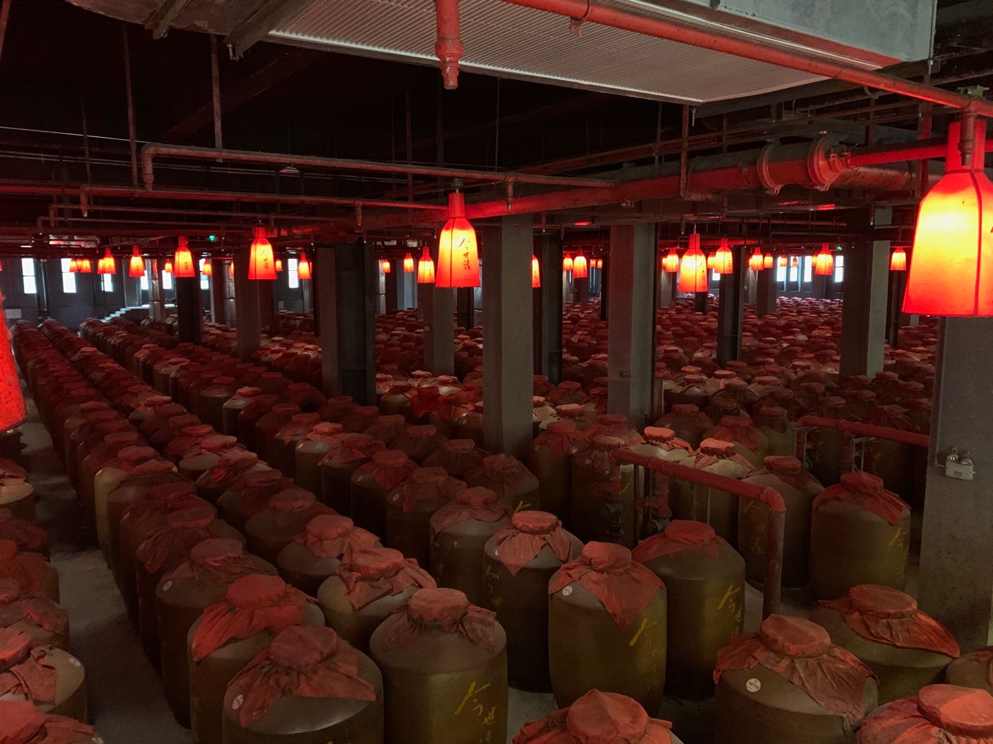 瞄准高端白酒赛道 今世缘能否凭借省外市场冲刺百亿营收？