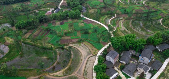 海南鼓励闲置宅基地流转给经营者