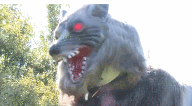 为防熊出没 日本居民区摆出红眼机器“魔鬼狼”(图)