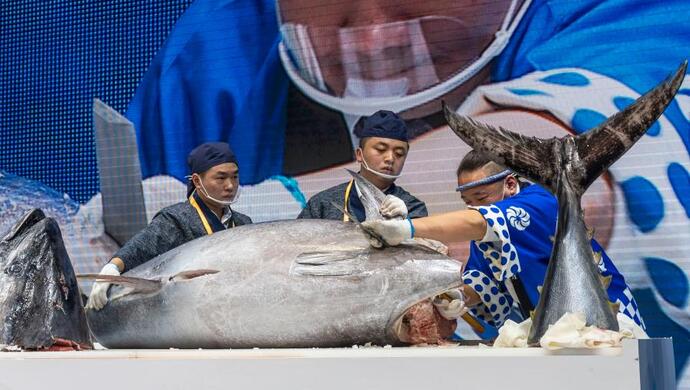 三文鱼、金枪鱼现切现吃？今年不行、进博会暂停进口冷链食品试吃